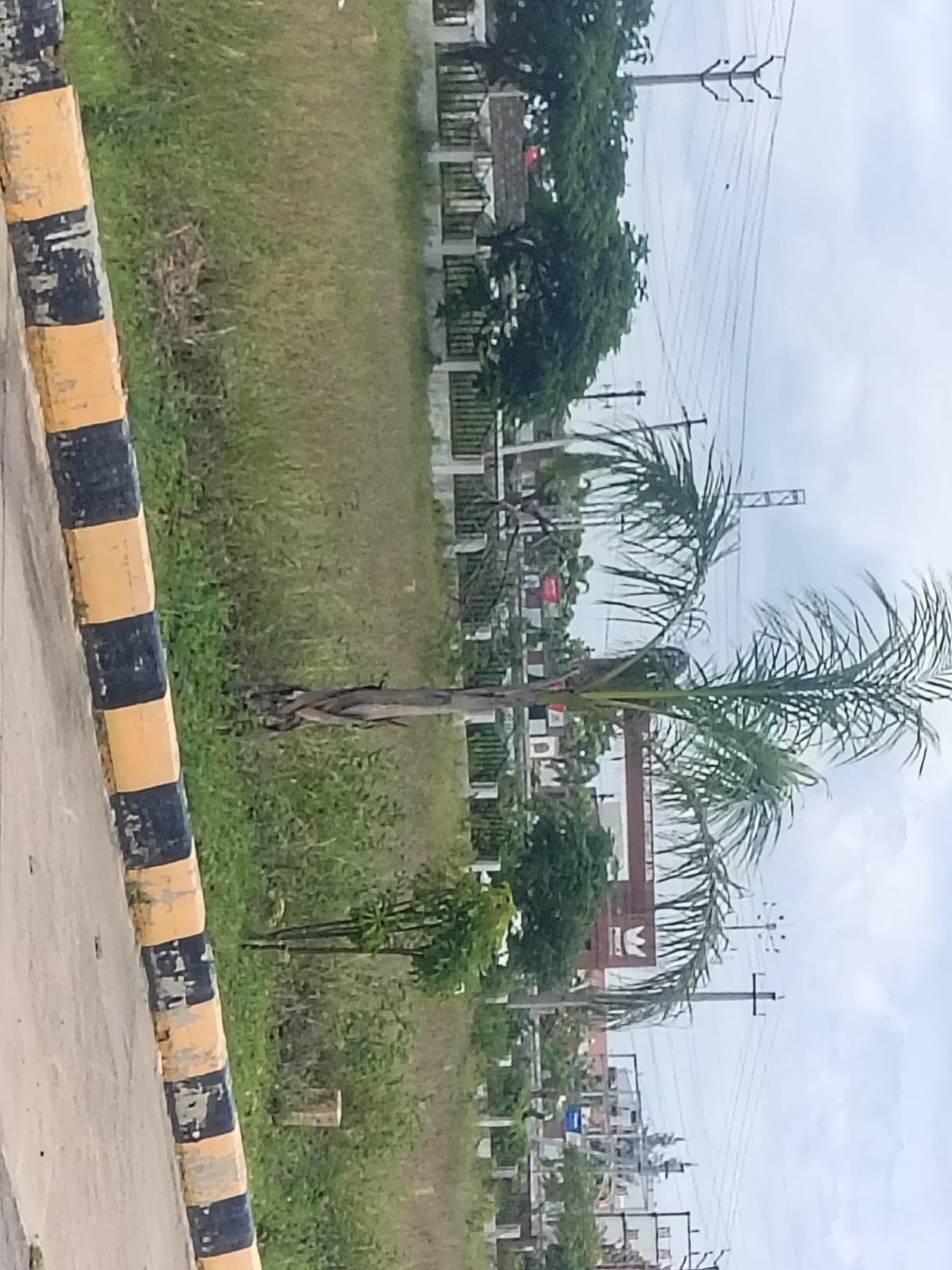 House surrounded by nature